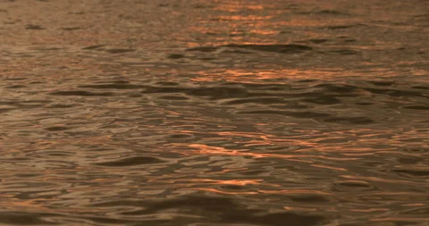 The golden light of the sun reflected on the ocean surface Video stock 144804011