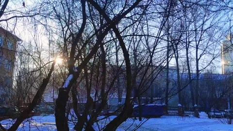 Golden light of the sun through the trees. Winter and city street. Stock-Footage 261952181