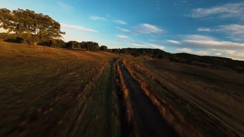 Golden light sweeps across open fields and winding dirt path at Alcacer do Sal Stock Footage 342177862