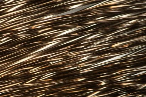 Golden lines Stock Photos