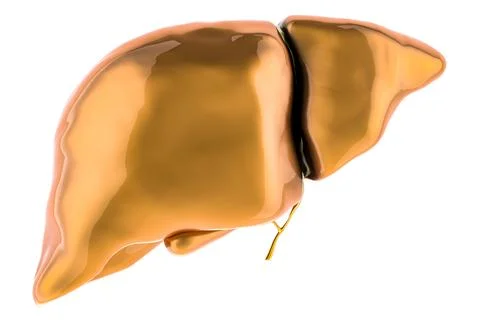 Golden liver, 3D rendering Stock Illustration