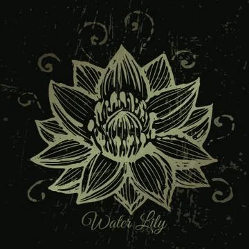 Golden lotus vector background Stock-Illustration