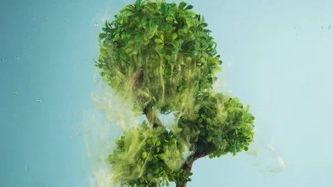 Golden magical dust falls from the leafs of green tree against blue sky Stock Footage 129250027