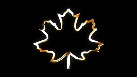 Golden Maple Leaf 스톡 동영상 223058215