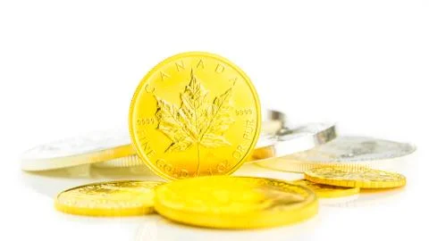 Golden maple leaf standing on edge II Stock Photos