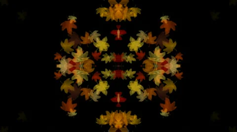 Golden maple leafs shaped flower pattern.pattern,symbol,dream,vision,idea,creati Stock Footage 951757