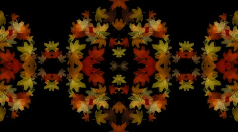 Golden maple leafs shaped flower pattern.pattern,symbol,dream,vision,idea,creati Stock Footage 952107