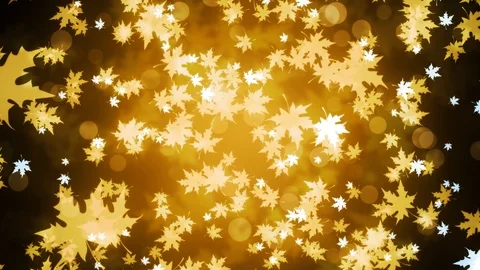 Golden Maple Leaves Stock Footage 92337038
