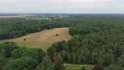 Golden meadow clearing among forest in Upper Lusatia Vídeos de archivo 340646995