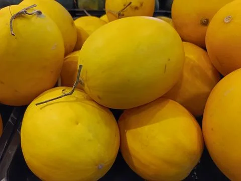 Golden melon Stock Photos