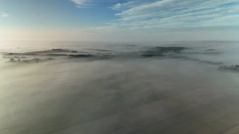 Golden Mist Over Dutch Fields — Aerial View 4K 動画素材 317402069
