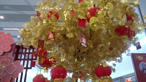 Golden Money Tree inside Mall during Chinese New Year Stock Footage 170608945