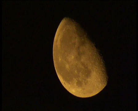 Golden Moon Stock Footage 562139