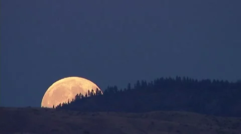 Golden Moonrise Stock Footage 8657116
