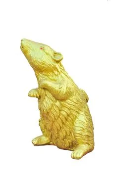 Golden mouse statue Fotos Stock