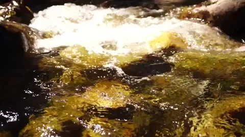 Golden murmuring stream close up Stock Footage 139750679