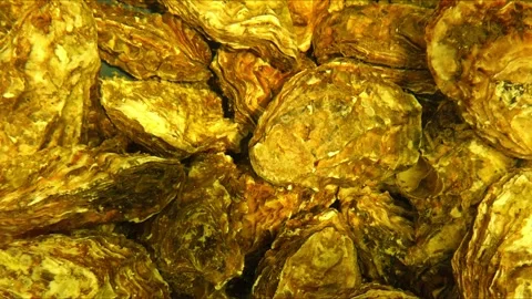 Golden mussel shells create a textured seafood background Stock Footage 323222617