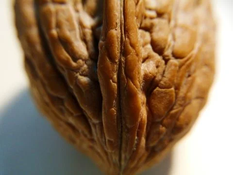 Golden nut Stock Photos