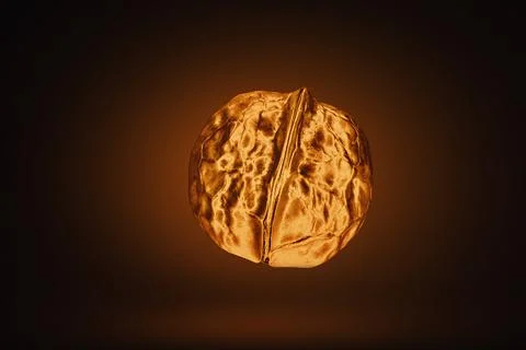 Golden nut Stock Photos