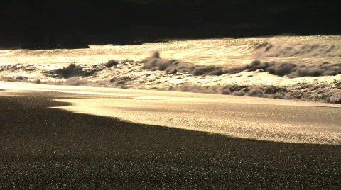 Golden Ocean Stock Footage 496785