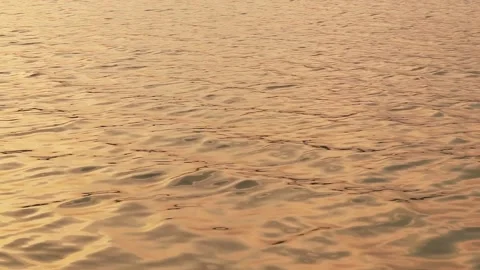 Golden ocean waves at dusk Stock Footage 171412552