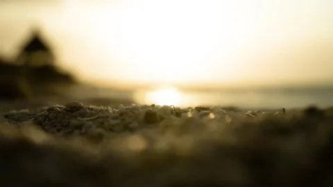 Golden Ocean Waves on Sandy Beach at Sunset or Sunrise Stock Footage 308670044