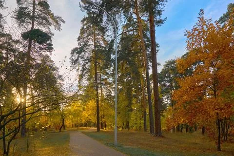 Golden October.Autumn empty tiled path in a city public park 스톡 사진