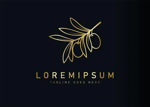 Golden olive logo design. Vector illustration of olive branch for brand. Vint Иллюстрация