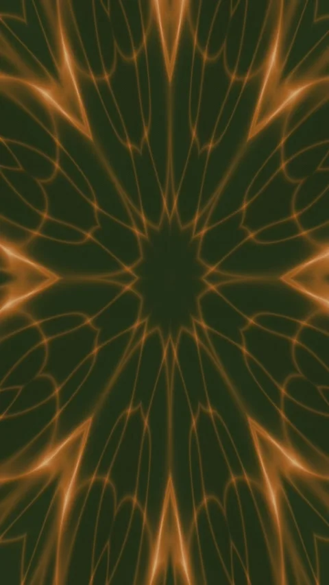 Golden orange luminous lines form an intricate symmetrical botanical pattern Stock Footage 342922954