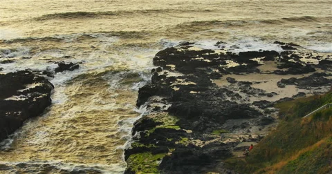 Golden Oregon Coast Stock Footage 44281541