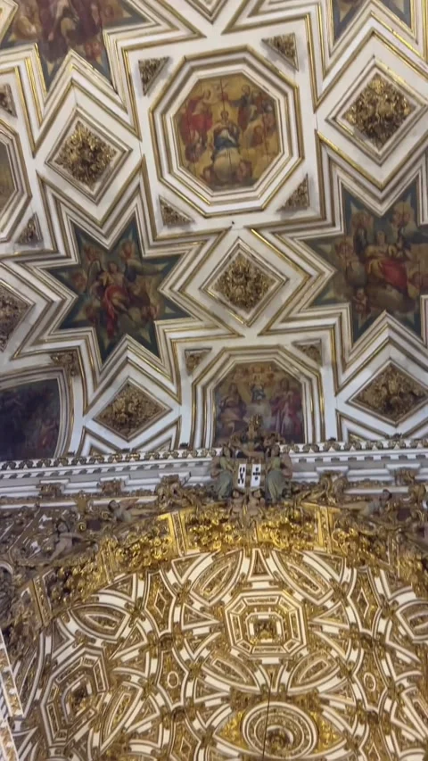 Golden Ornate Ceiling inside Sao Francisco Church Salvador Bahia Brazil 動画素材 343440872