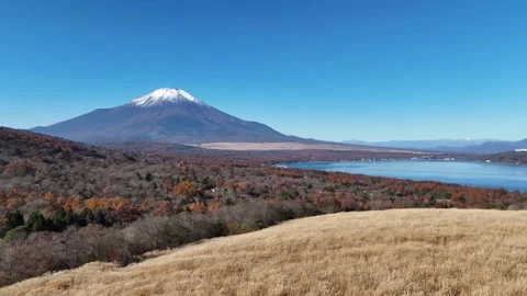 Golden Pampas Grass | Mt. Fuji - 4K Aerial Video Stock Footage 329054651