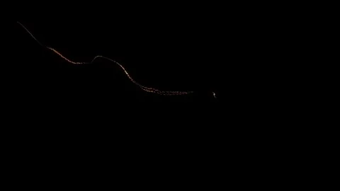 Golden Particle Trail Simulation VFX Stock Footage 308960083