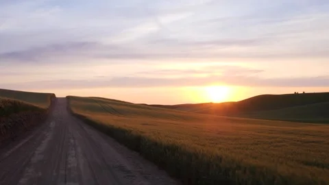 Golden Path: Wheat Fields at Sunset Vídeo Stock 339274710