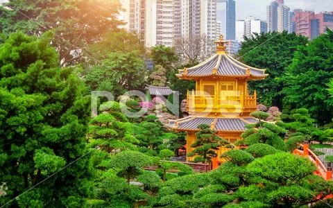 The Golden Pavilion of absolute perfection in Nan Lian Garden in Chi Lin Nunnery Stock Photos