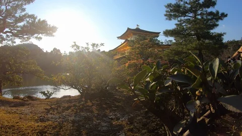 The Golden Pavilion. Stock Footage 128939265