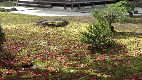 Golden Pavilion, Video stock 129696944