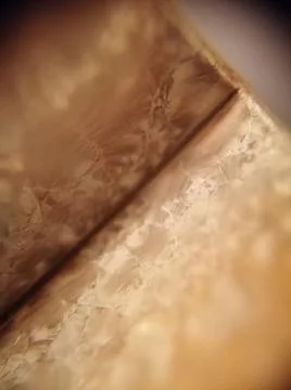 Golden Foto stock