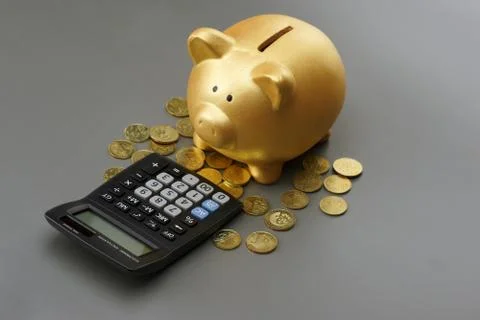 Golden piggy bank with calculator. financial concept Stock Photos