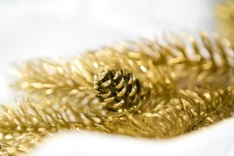 Golden pinecone Stock Photos