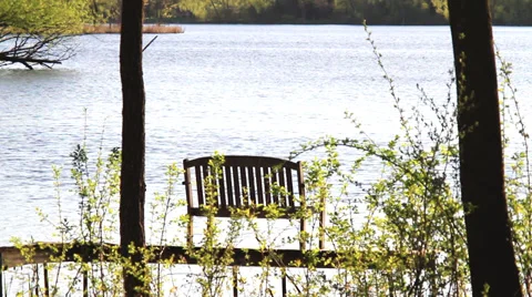 On Golden Pond 스톡 동영상 36634259