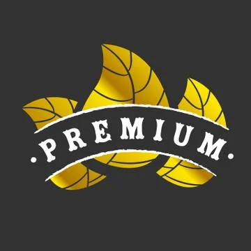 Golden premium logotype Stock Illustration