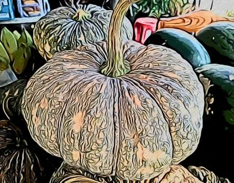Golden pumpkin Stock Photos