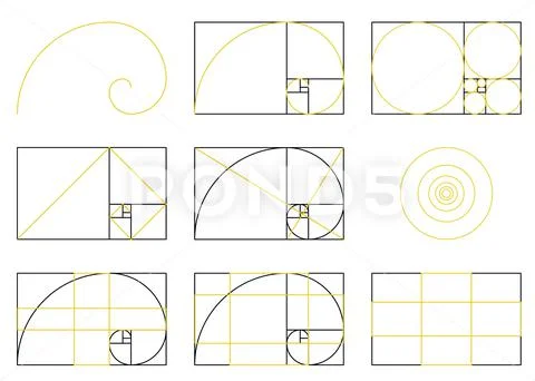 Golden Ratio spiral scheme of proportions, flat vector illustration ...