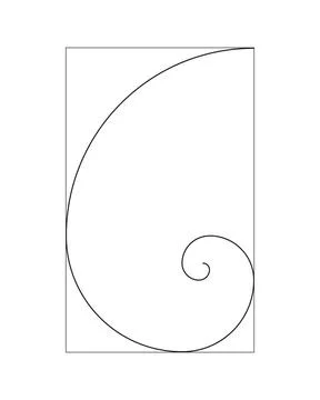 Golden ratio template. Harmony square. Illustration