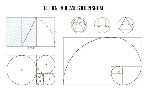Golden ratio template vector, Divine Proportions, Golden Proportion Stock Illustration