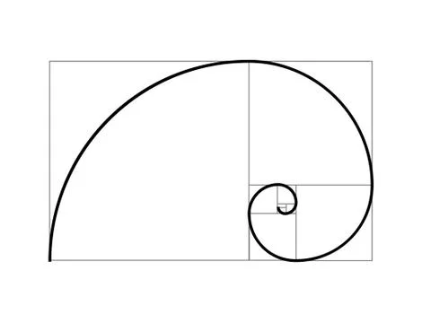 Golden ratio vector proportion spiral section. Fibonacci golden ratio geometry Stock Illustration