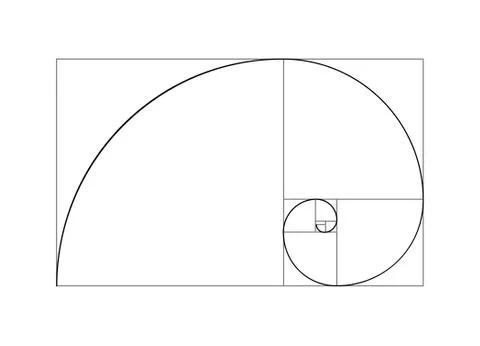 Golden ratio vector proportion spiral section. Fibonacci golden ratio geometry Illustrazione stock