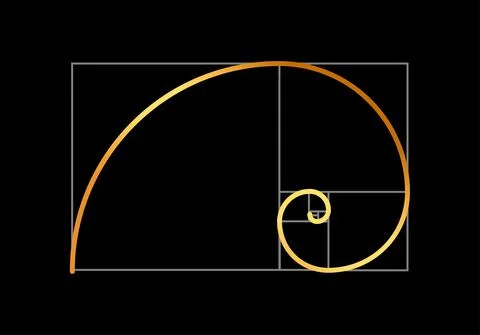 Golden ratio vector proportion spiral section. Fibonacci golden ratio geometry Illustrazione stock