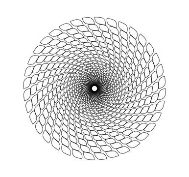 Golden ration fibonacci pattern for logo icon background web graphic tattoo. Stock Illustration